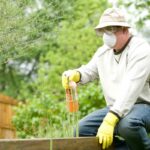 Sydney Pest Inspections Typically Cover These Key Property Areas