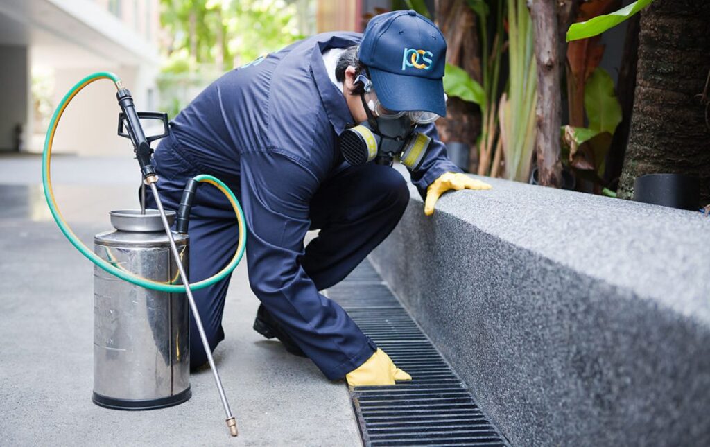 pest treatment sydney