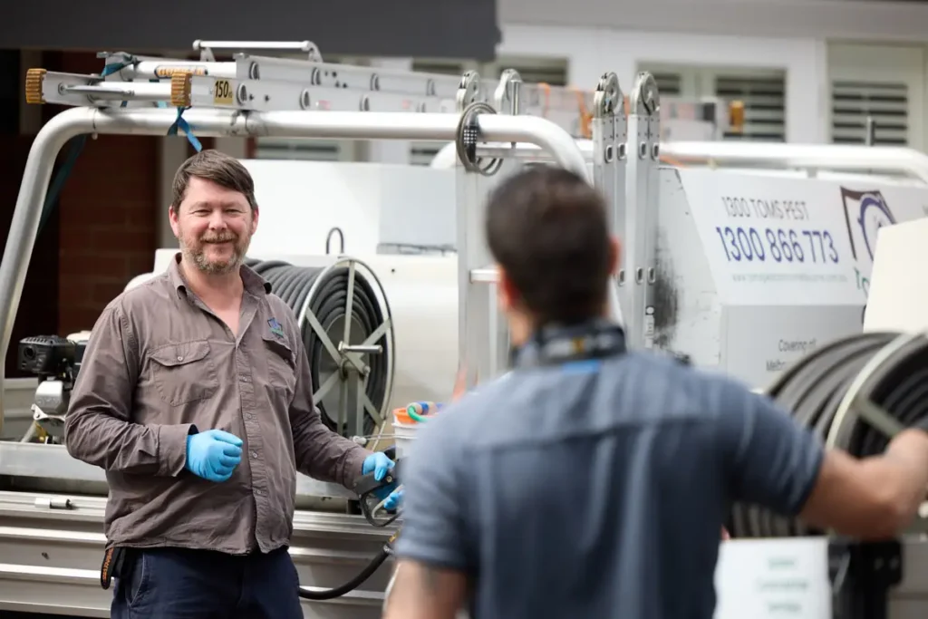 pest control blue mountains
