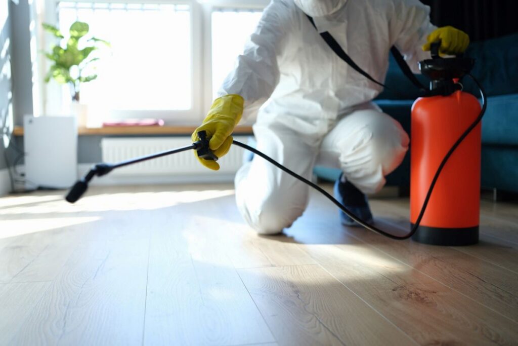pest treatment sydney