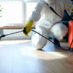 How Long Does Pest Treatment Sydney Protection Usually Last?