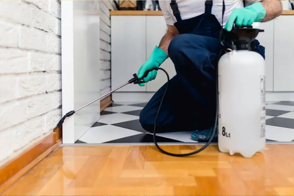 sydney rodent exterminator