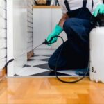 When Should You Call A Rodent Exterminator Sydney Team?